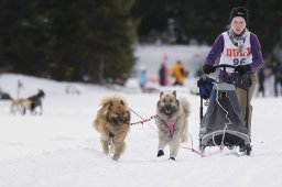 Lenzerheide 2013